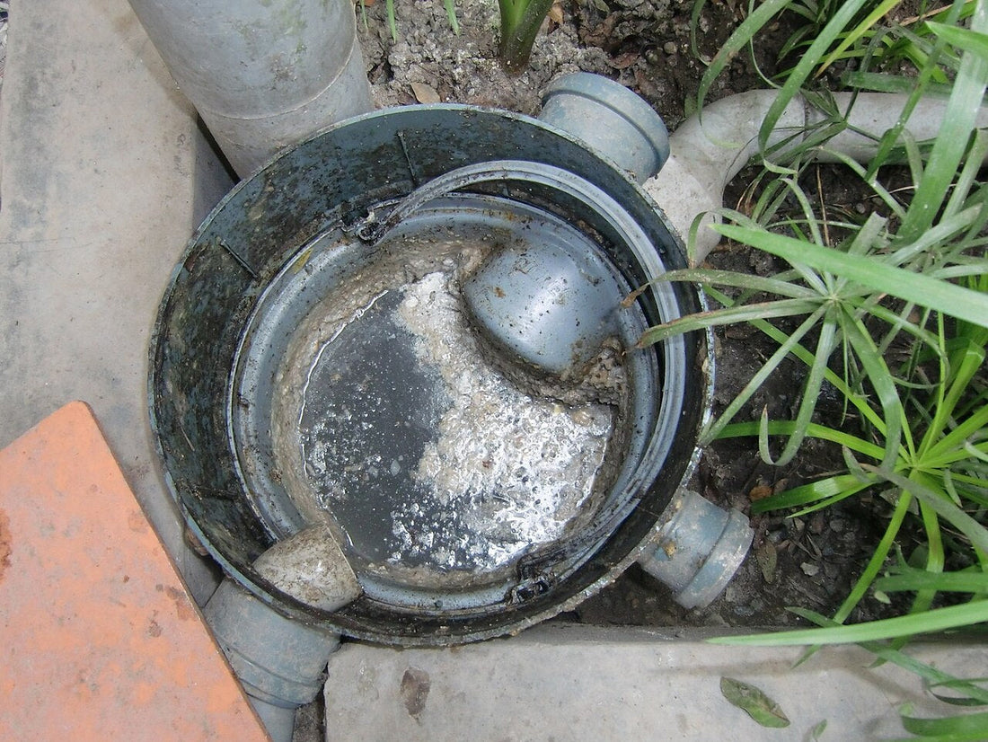 Do You Actually Need A Grease Trap? What UK Food Businesses Need To Know